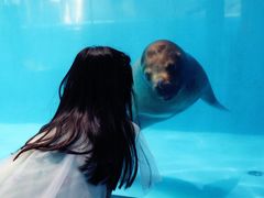 -泉城欧乐堡海洋极地世界
