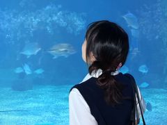 -常州海昌海洋探索馆