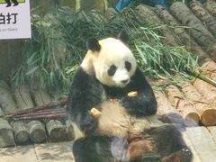 -大连森林动物园