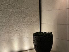-上海柏悦酒店
