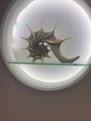 -顺德壹加壹美容医院