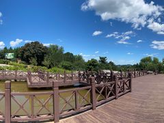 -北京西山国家森林公园