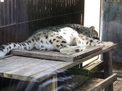 -青藏高原野生动物园