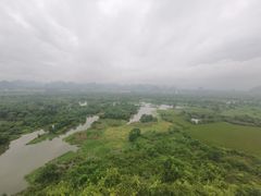-会仙湿地