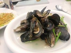 淡菜-新阿布海鲜大酒店