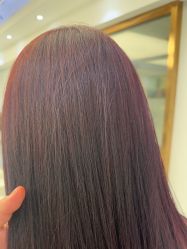 -镁连社·美联社