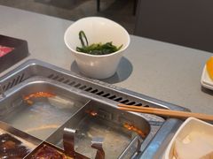 -海底捞火锅(步步高新天地店)