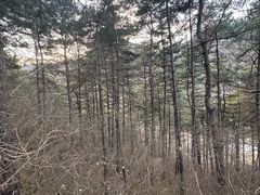 -北京密云天门山风景区
