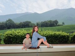 -白茶原·一片叶子