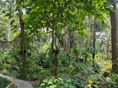 -中国科学院西双版纳热带植物园