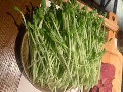 豆苗-盡膳口福跷脚牛肉火锅(北美新天地店)