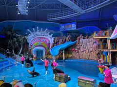 -烟台海昌鲸鲨海洋公园