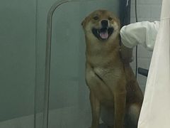 -福州肆爪动物医院