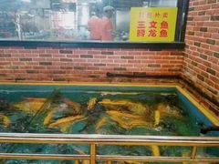 水产区-醉美东江·三文鱼·烧鸡公