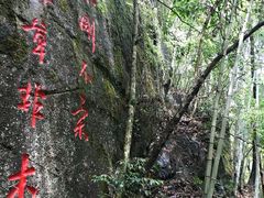-炎陵县神农谷国家森林公园