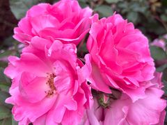 -人民公园(罗湖区)