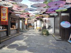 -天目湖山水园