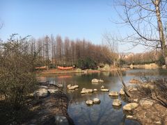 -新江湾城公园