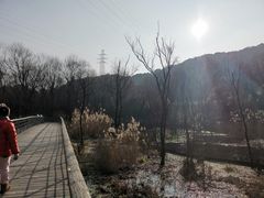 -西湖风景区-江洋畈生态公园
