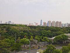-百年果林椰子鸡(中洲店)