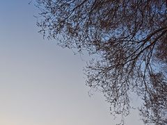 -丁香湖公园
