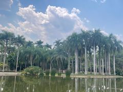 -中国科学院西双版纳热带植物园
