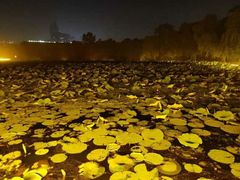 -长春市南湖公园