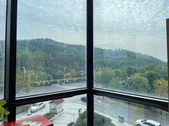 -能量小象·感统·专注力·语言(崂山校区)
