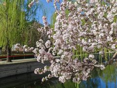 -元大都城垣遗址公园