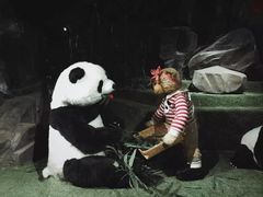 -成都泰迪熊博物馆