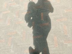 -金鸡山公园