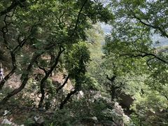 -北京鹫峰国家森林公园