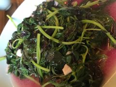 时令蔬菜（米苋）-双塔老饭店
