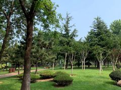 -日照灯塔风景区