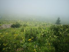 -白草畔自然风景区