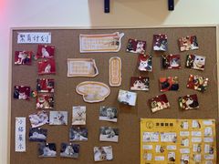 -滚猫咖啡·猫咖·猫友好撸猫(未来城店)