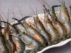 -Thai Basil罗勒叶泰式餐厅(时代天街店)