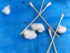 -艾贝尔宠物诊疗