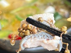 -贡椒鱼老店·雅安十大名店