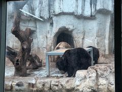 -广州长隆野生动物世界
