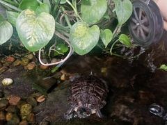 -德全心悦酒店(北京金台路地铁站店)