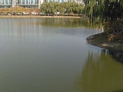 -大兴滨河森林公园