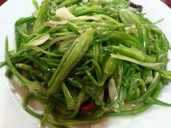 android_upload_pic-苍洱春饭店