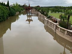 -奉贤海滩