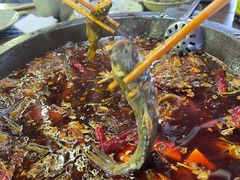 -老船夫石锅苗苗鱼·老字号(三道堰总店)