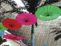 -青岛海泉湾度假区温泉