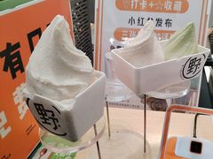-野人先生现做冰淇淋(西安赛格店)