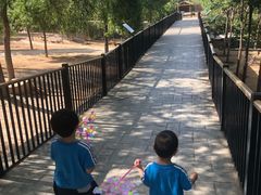 -石家庄市动物园