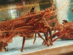 -阿伟海鲜楼·福建菜(延寿店)