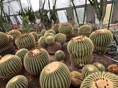 -北京植物园-展览温室